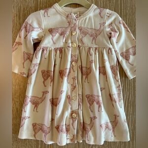 kate quinn Cream and Red Button Down Shirt Dress with Print